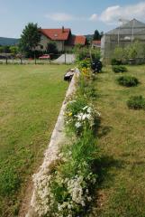 Dilce 5 (1)